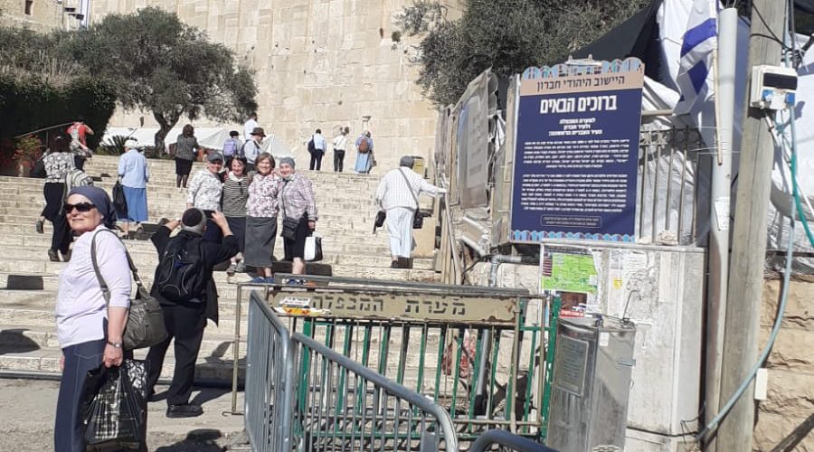 WhatsApp Image 2022-01-10 at 6.01.49 PM WhatsApp Image 2022-01-10 at 6.01.49 PM