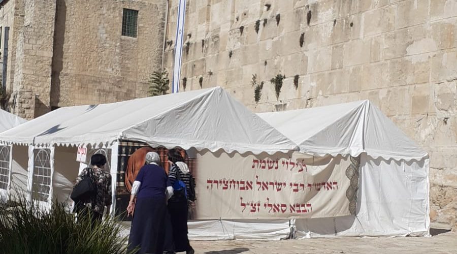 WhatsApp Image 2022-01-10 at 6.04.51 PM WhatsApp Image 2022-01-10 at 6.04.51 PM